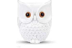 41-pgWA4NKL._AC_UL320_