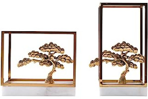 51DyR+P21uL._AC_UL320_