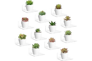 61tZd6Vs4oL._AC_UL320_