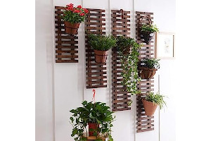 71PKh4K-lRL._AC_UL320_