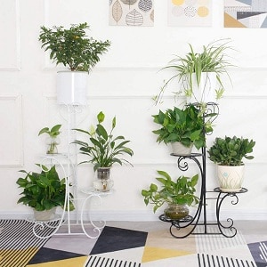 Estanterías para Plantas